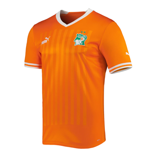 Ivory Coast National Team Shirt 2022/23 Home Custom Jersey - Orange - Jersey Teams World